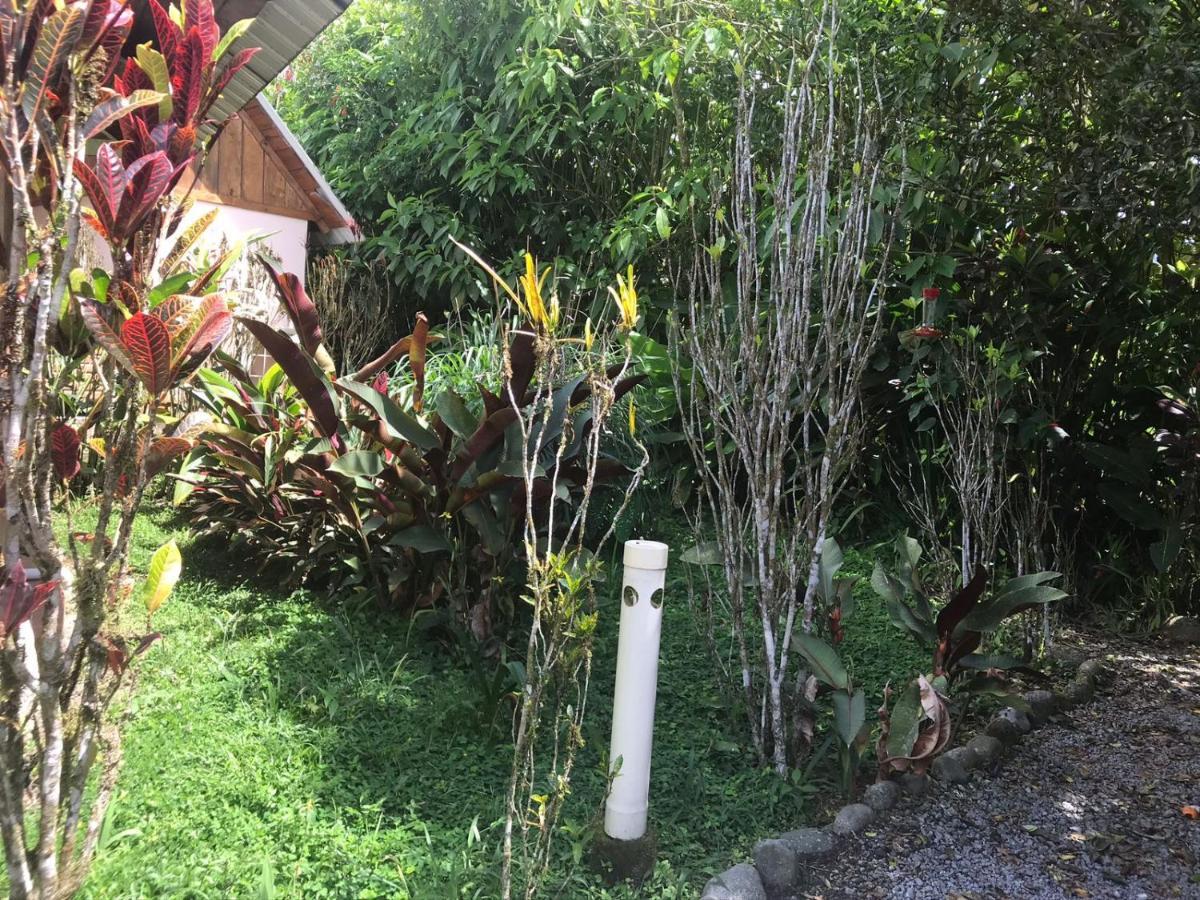 Hosteria Los Cedros De Mindo Kültér fotó