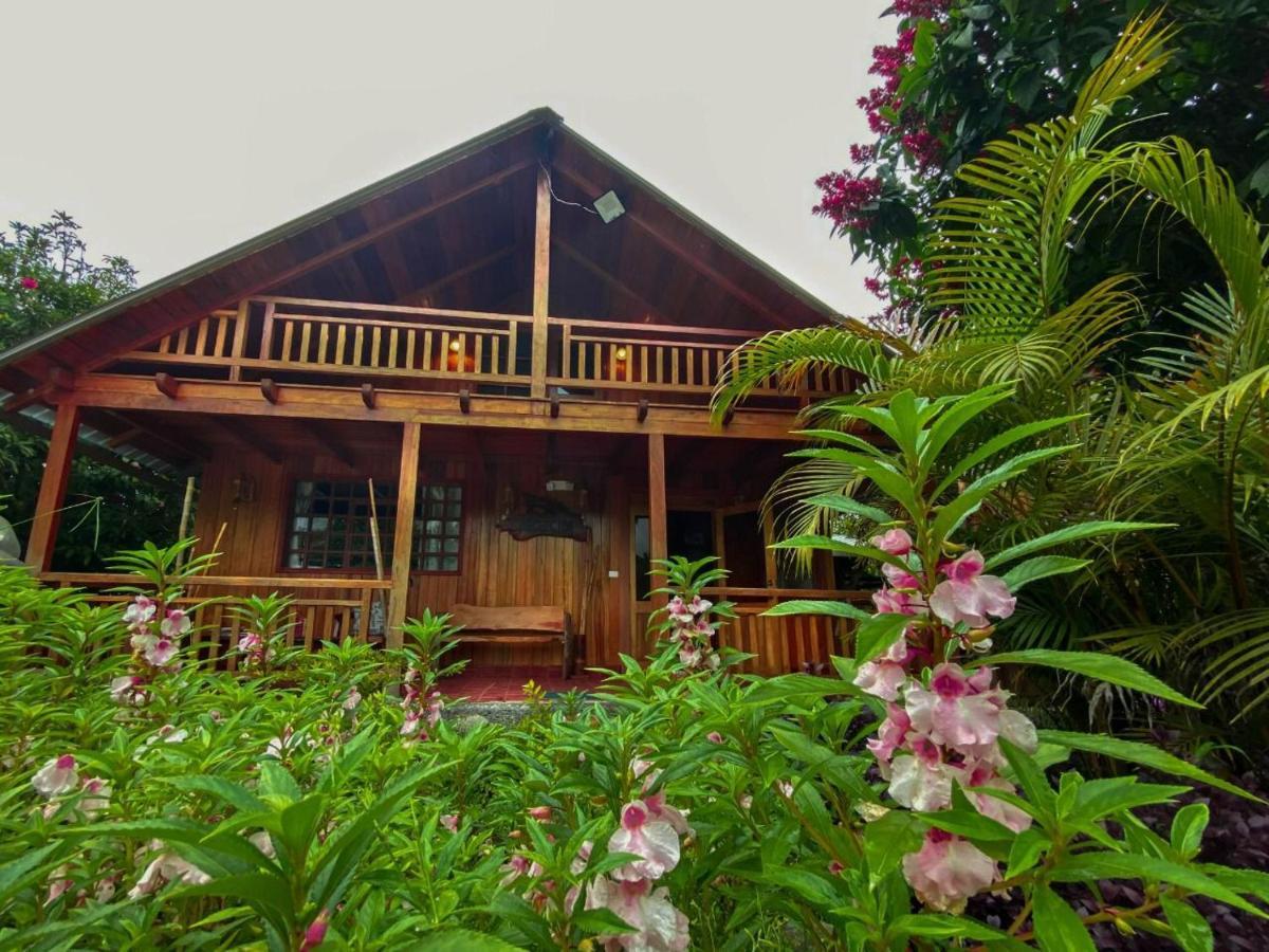 Hosteria Los Cedros De Mindo Kültér fotó