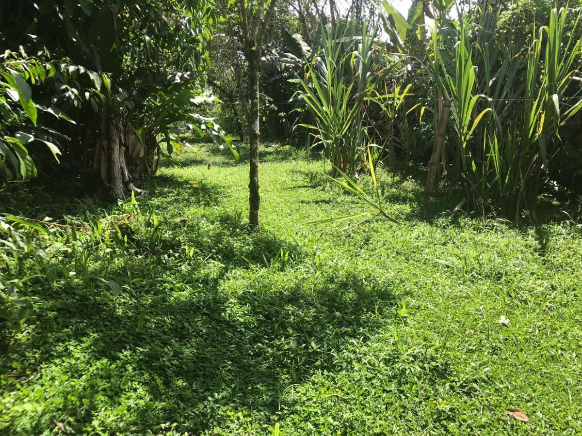 Hosteria Los Cedros De Mindo Kültér fotó