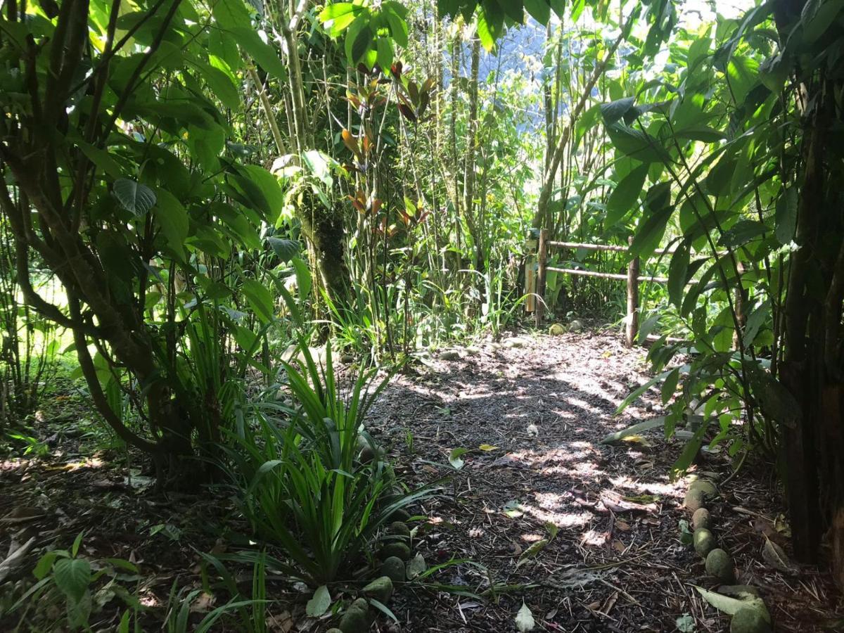 Hosteria Los Cedros De Mindo Kültér fotó