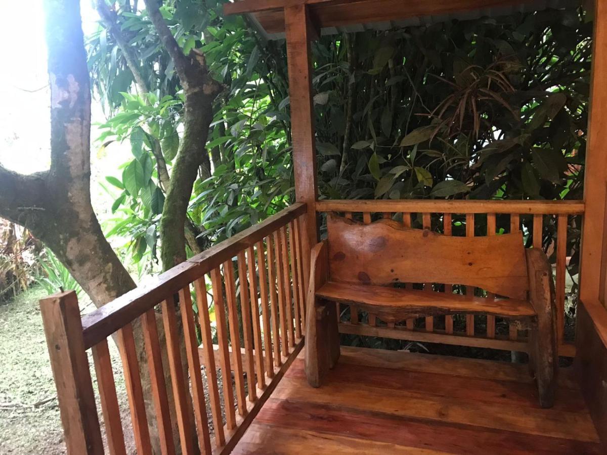 Hosteria Los Cedros De Mindo Kültér fotó