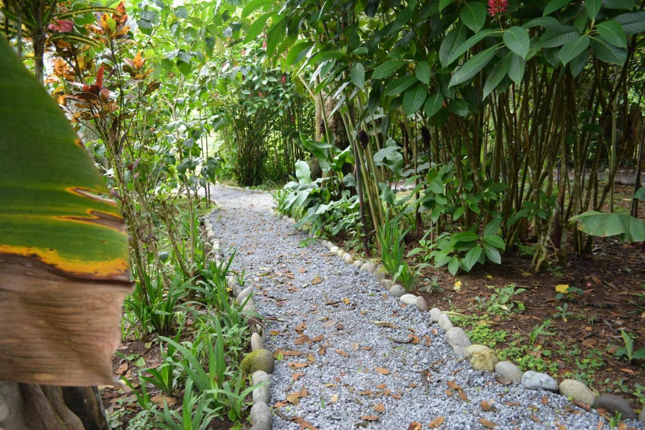 Hosteria Los Cedros De Mindo Kültér fotó